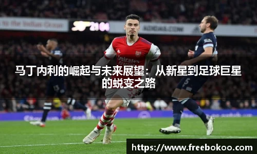 马丁内利的崛起与未来展望：从新星到足球巨星的蜕变之路